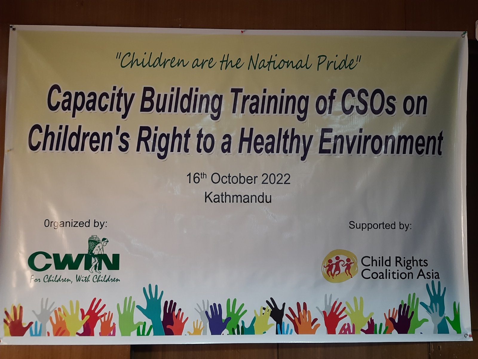Capacity-building Training for CSOs on Children’s Rights to a Healthy Environment completed