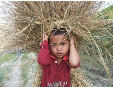 Peace for Children: Constitution for Peace (Vol.1, No.2, February 2012)