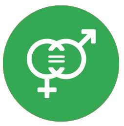 Gender and social inclusion